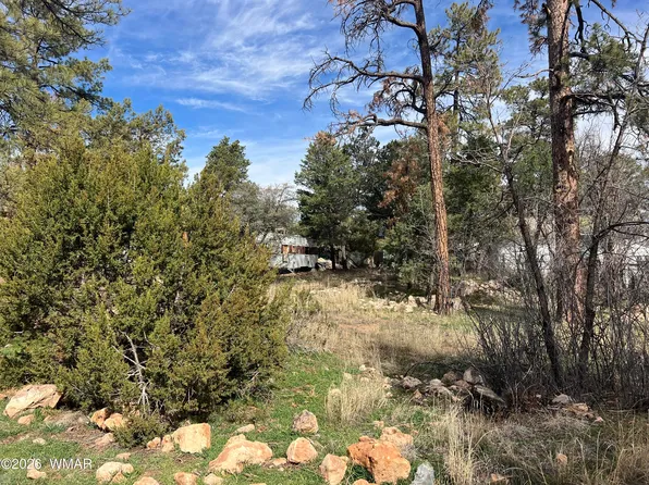 2856 Rainbow Trl, Overgaard, AZ 85933