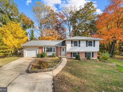 6419 Charnwood St, Springfield, VA, 22152