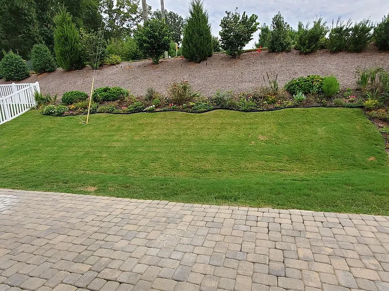 Beautiful Backyard.