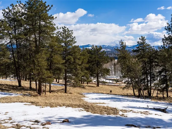 81 Box Canyon Dr, Florissant, CO 80816