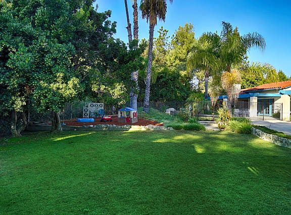 Large grassy backyard