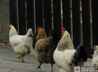 802 Iowa Ave, Fallbrook, CA 92028