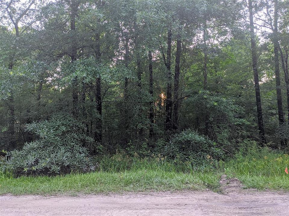 2nd image of Norfolk