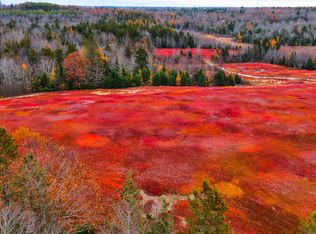 MAP31LOT29 Land-Perkins, Blue Hill, ME 04614