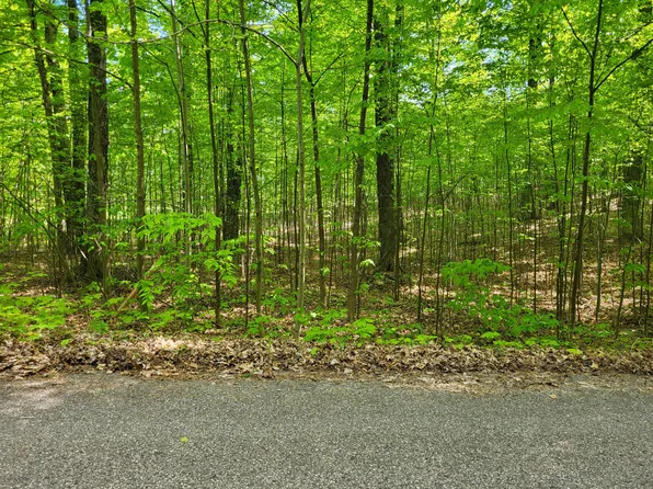 LOT 22 Cubs Way, Vanderbilt, MI 49795