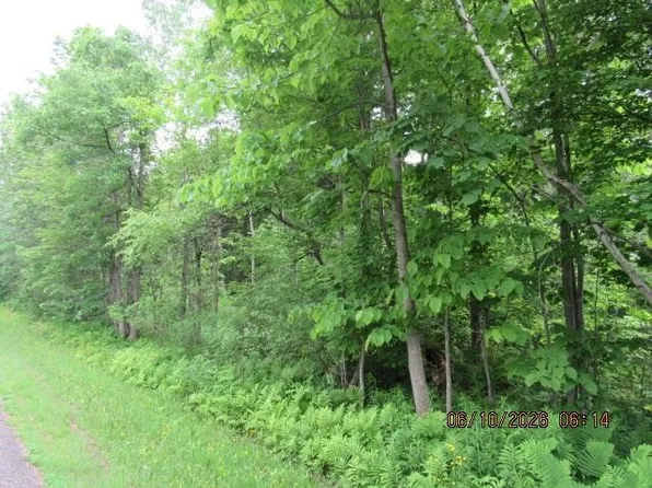 LOT 6 Anderson Rd, Potsdam, NY 13676