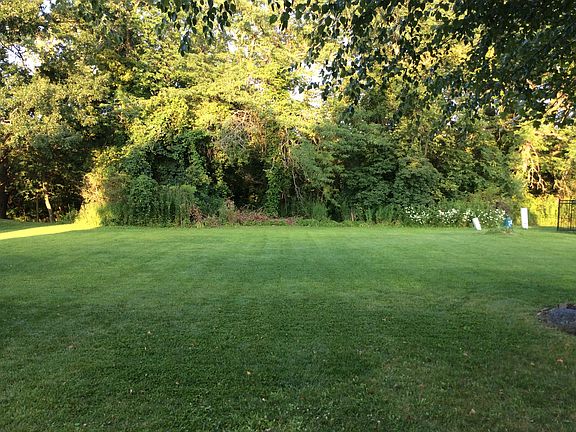 Wooded Creek area in back