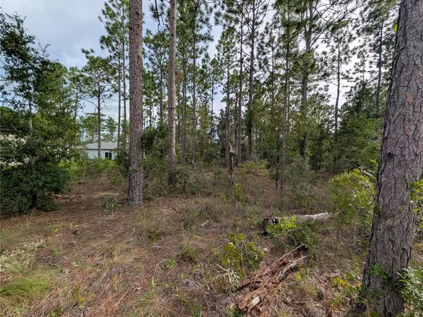 640 W HERONSBILL LANE LOT 2, CITRUS SPRINGS, FL 34434