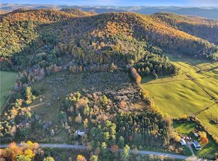 8273 Willow Brook Rd #9, Little Genesee, NY 14754