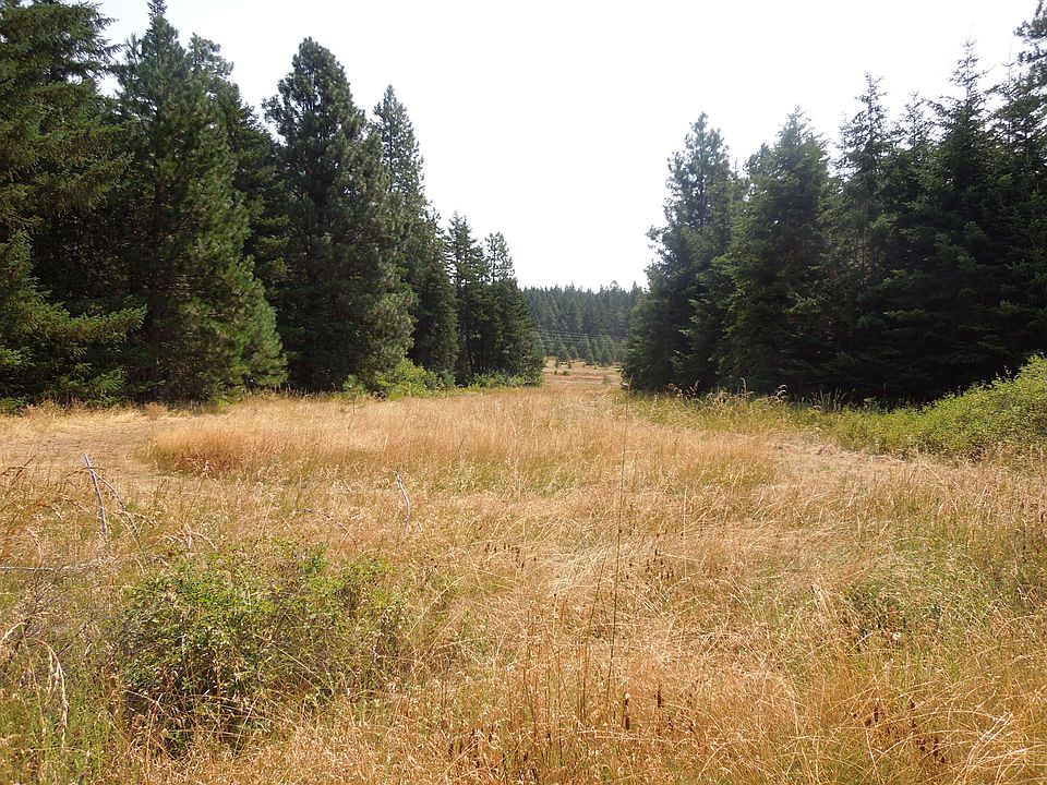 Possible homesite