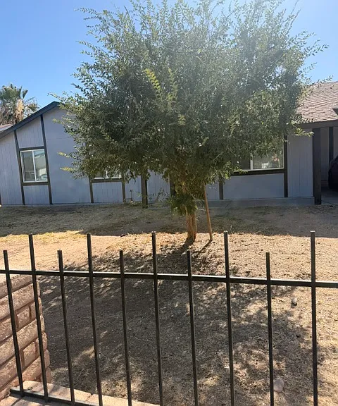 Front Yard