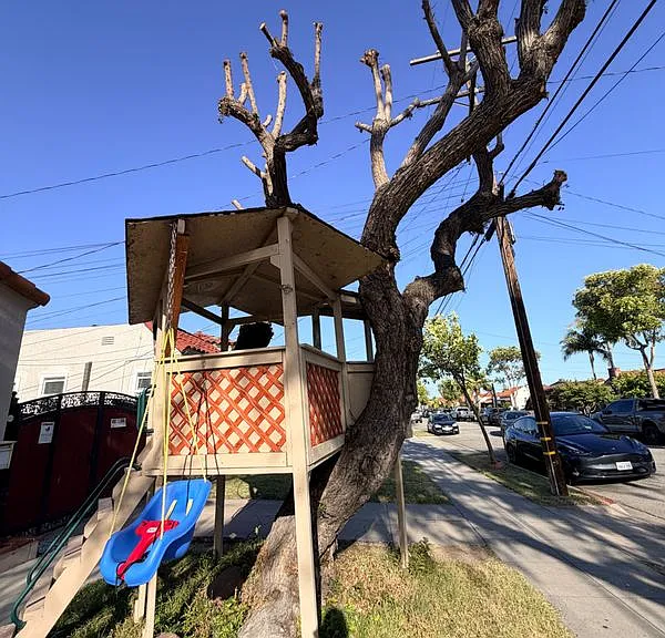3313 California St #HOUSE — Photo 4