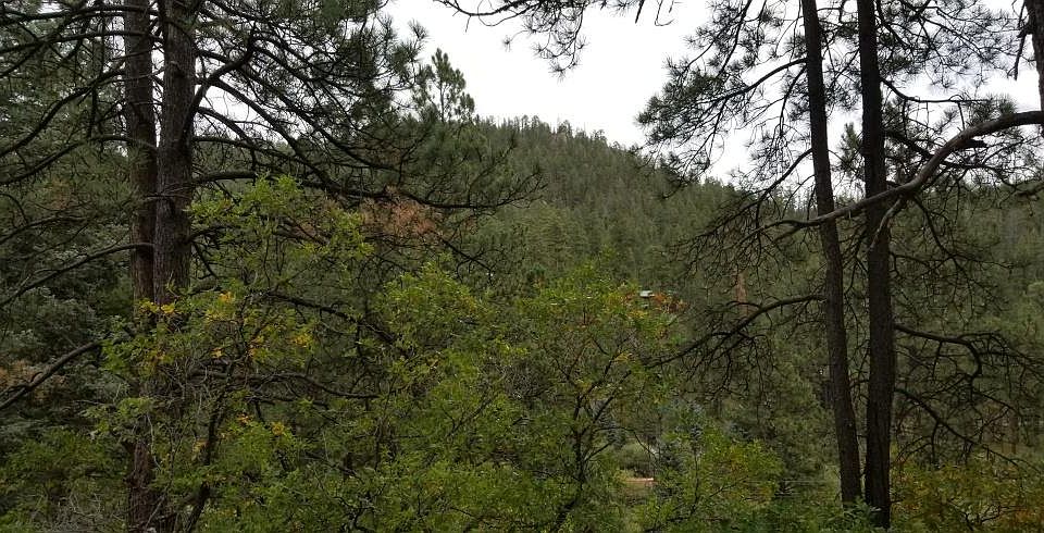 1st image of Highway 126