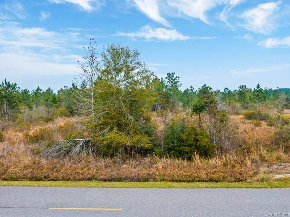 Newt Hodges Rd, Ragley, LA 70657