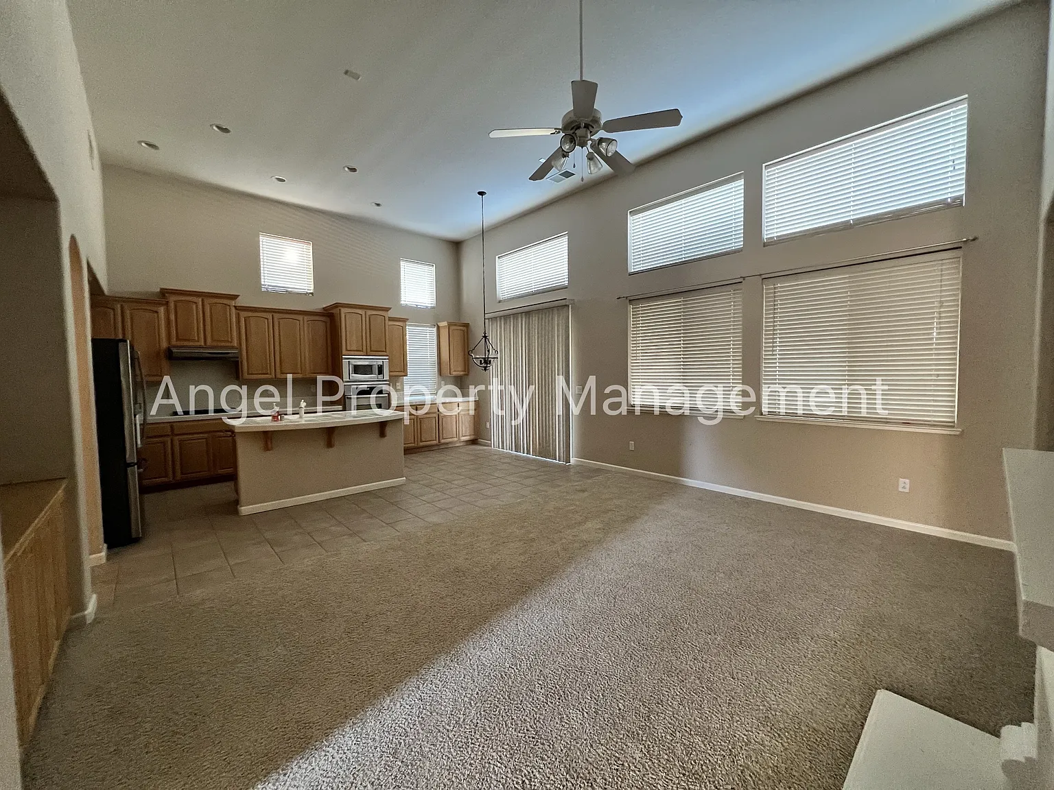 10113 Annie Street - 1 — Photo 3