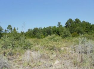 1580 NE 100th Street Rd, Branford, FL 32008