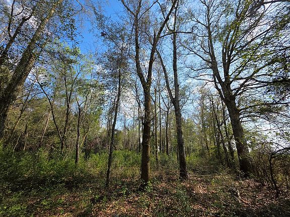 3rd image of 0 Babcock Rd