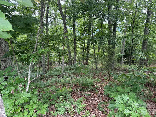 0 Arbra Mountain Way #54, Bostic, NC 28018