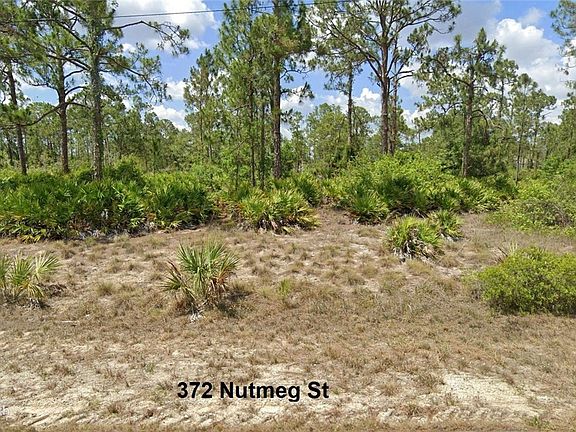 3rd image of 372 Nutmeg St