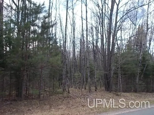 N Lake Rd, Florence, WI 54121