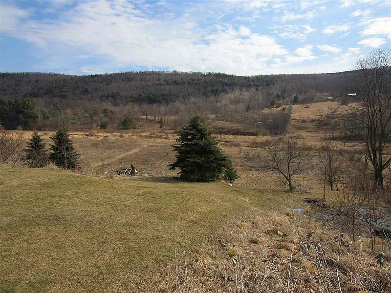 4th image of 732 CHARLOTTE VALLEY Road