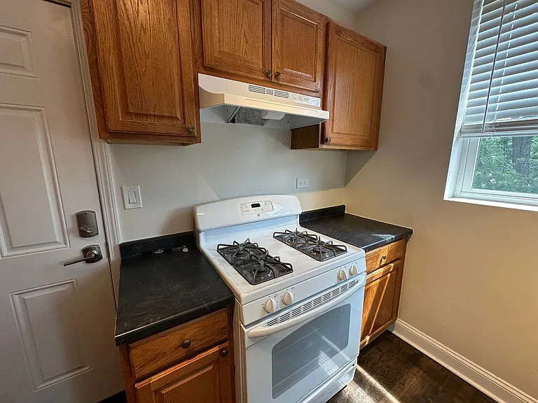 1377 W Greenleaf Ave #3S — Photo 10
