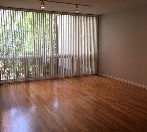 living room windows