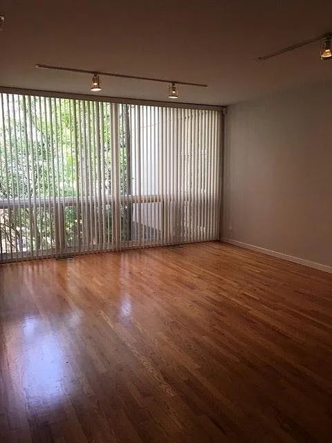 living room windows