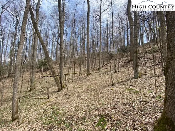 Woodland Hills Dr, Elk Park, NC 28622