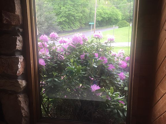 4th image of 2308 Kings Bay Dr