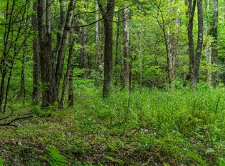 422 E Spencer Rd LOT WP001, Spencer, NY 14883