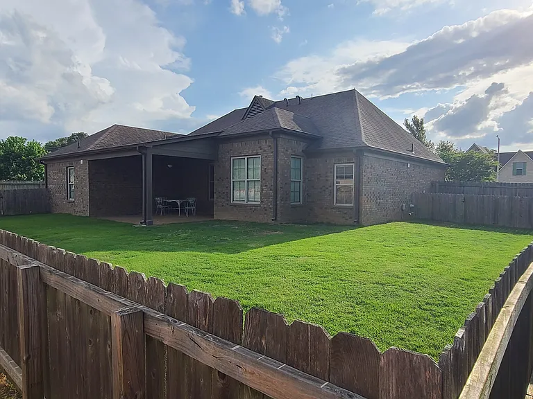 Back yard