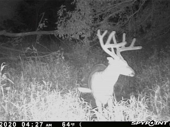 3rd image of 0 Elvis Ave