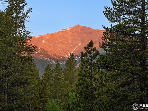 4th image of 1217 Big Owl Rd