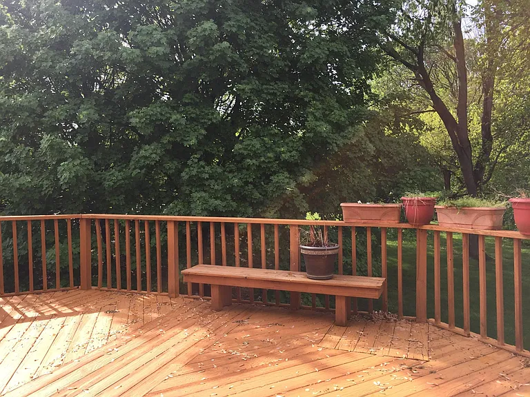 Backyard view
