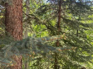 S Silver St LOT 9 & 10, Rico, CO 81332