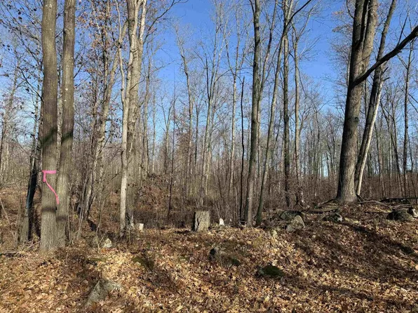 Lot 1 BIRCH DRIVE, Mosinee, WI 54455
