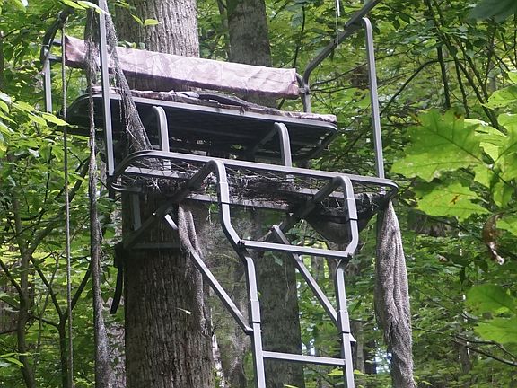 Permanent Tree Stand