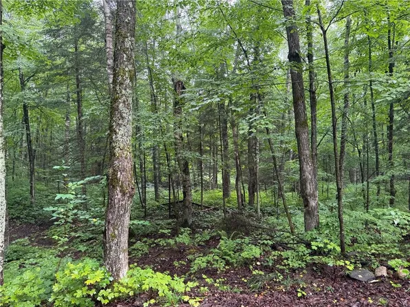 Lot 2 Scheers Road, Hayward, WI 54843