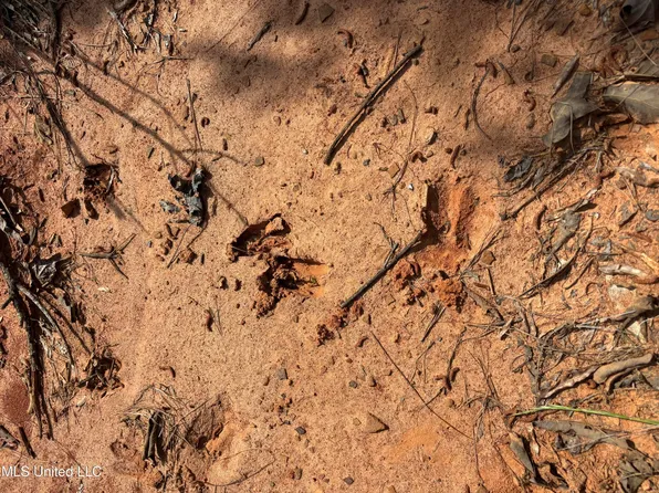 5034 County Rd, Kosciusko, MS 39090