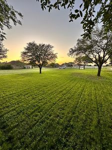 8464 Woodcliff Blvd, Selma, TX, 78154