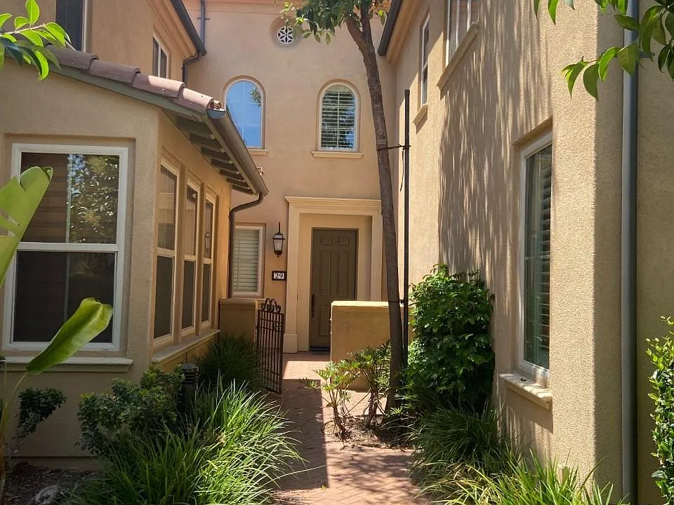29 Jonquil