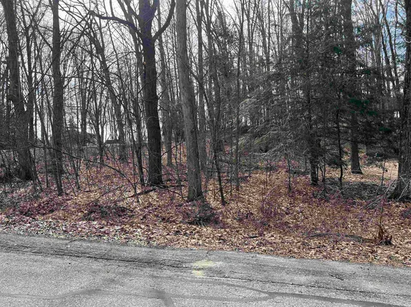 1032 Circle Dr, Lake Isabella, MI 48893