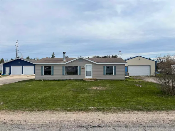 6615 Mill St, Pellston, MI 49769