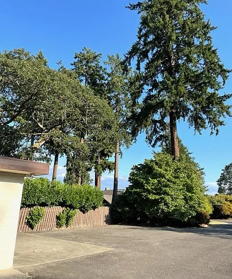 8728 Frances Folsom St SW — Photo 3