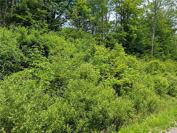 3rd image of Lake Lorraine Ln Lot 6