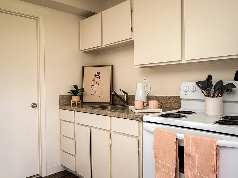 One Bedroom | Kitchen