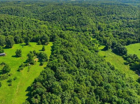 000 County Road 178-A, Dora, MO 65637