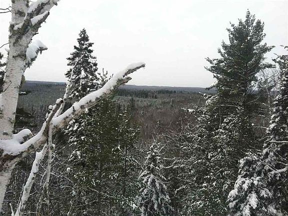 4th image of Red Rd