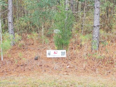 Lot 72 Eagle Nest Trail, Blounts Creek, NC, 27814
